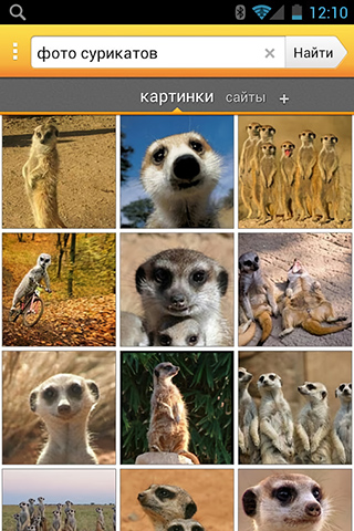 Yandex.Search for Android in 2013