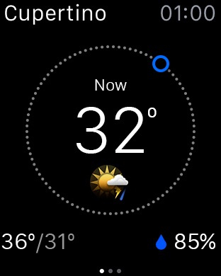 The Weather Channel for Apple Watch in 2015