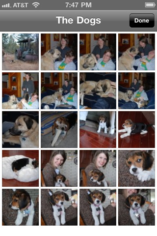Dropbox for iPhone in 2010 – The Dogs