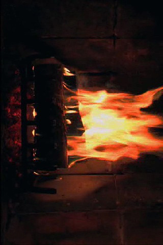 FirePlace for iPhone in 2010