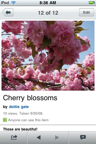 Flickr for iPhone in 2010