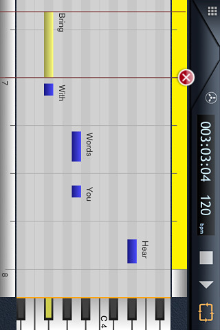 iVoxel for iPhone in 2010