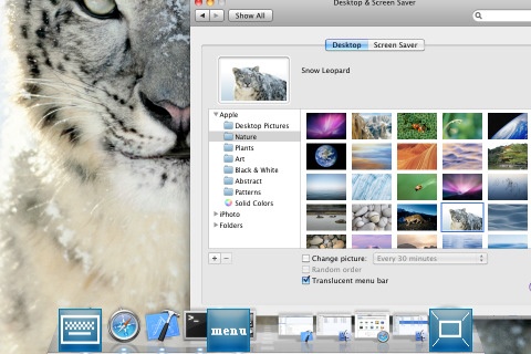 Mocha VNC Lite for iPhone in 2010