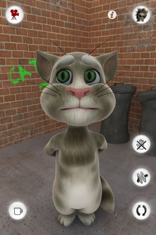 Talking Tom Cat for iPhone in 2010