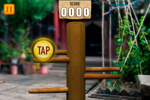 The Karate Kid for iPhone in 2010
