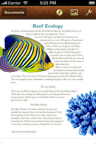 Pages for iPhone in 2011 – Documents
