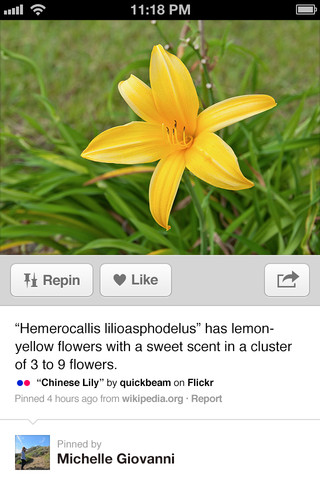 Pinterest for iPhone in 2012