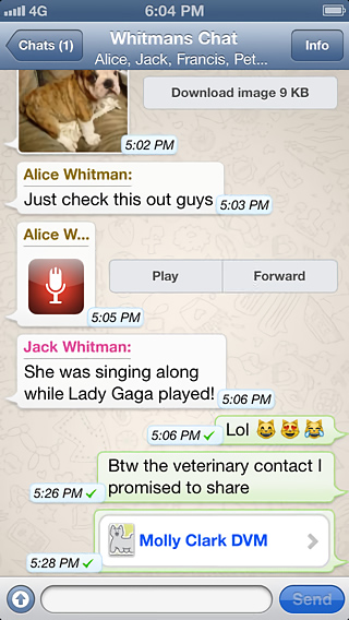 WhatsApp Messenger for iPhone in 2013