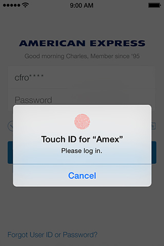 Amex Mobile for iPhone in 2015