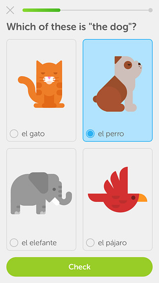 Duolingo for iPhone in 2015