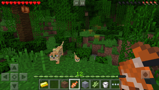 Minecraft – Pocket Edition for iPhone in 2016