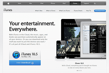 iTunes website in 2011