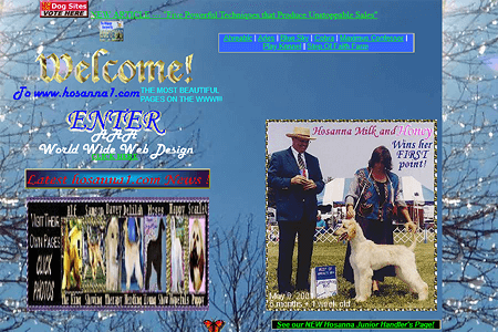 Afghan Hounds website in 2001