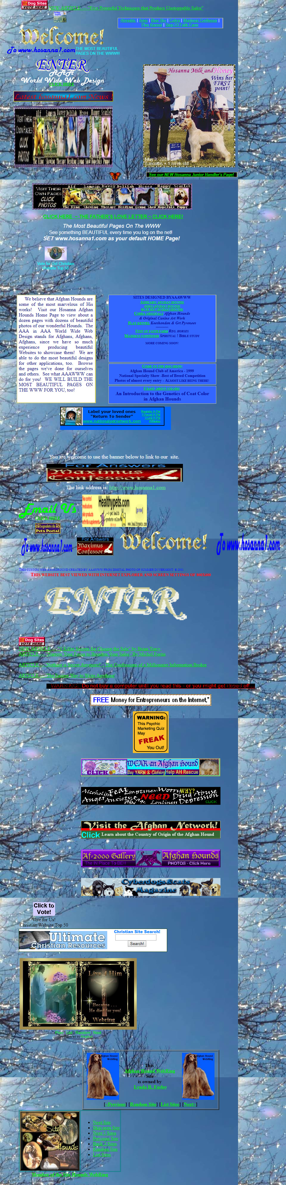 Afghan Hounds website in 2001