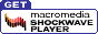 Macromedia Shockwave Flash 4.x banner 2000
