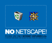 No Netscape! banner 1999