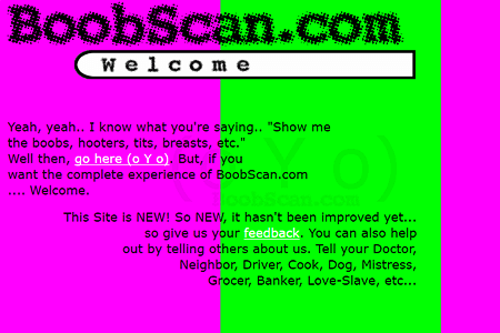 BoobScan website in 1998