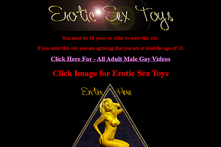 Erotic Sex Toys website in 1996