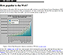 A Guide to Cyberspace website in 1994 – How popular is the Web?