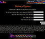 FedEx website in 1996 – Delivery Options