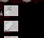 Plasticbag website in 2000 – Wallpaper