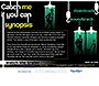 Catch Me If You Can flash website in 2002 – Synopsis