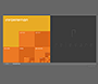 Relevare flash website in 2002 – Information