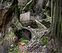 Samorost 1 flash website in 2003