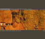 Nine Inch Nails: The Downward Spiral 10th Anniversary Edition flash website in 2004 – Artwork