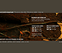 Nine Inch Nails: The Downward Spiral 10th Anniversary Edition flash website in 2004 – Downloads