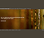 Nine Inch Nails: The Downward Spiral 10th Anniversary Edition flash website in 2004 – Contest