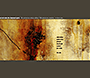 Nine Inch Nails: The Downward Spiral 10th Anniversary Edition flash website in 2004