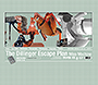 The Dillinger Escape Plan flash website in 2004