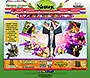 Shrek the Third flash website in 2007 – Downloads