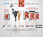 Despicable Me: The Game flash website in 2010 – About the Game