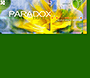 PARADOX Interactive website in 2000
