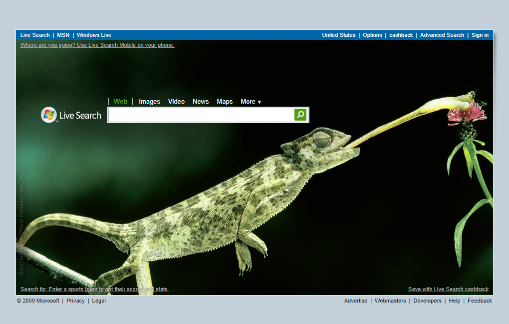 Live Search website in 2009