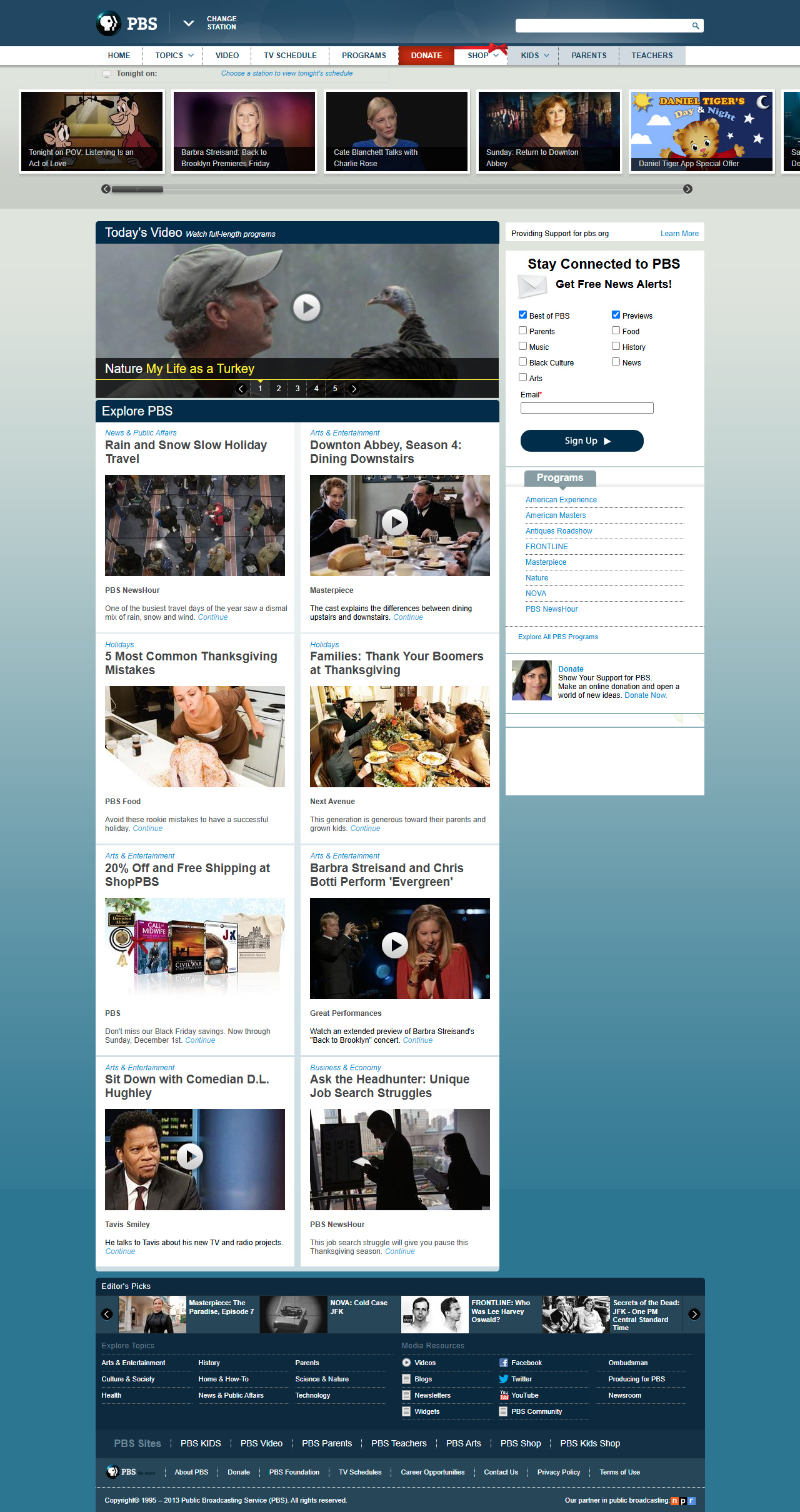 PBS website in 2013