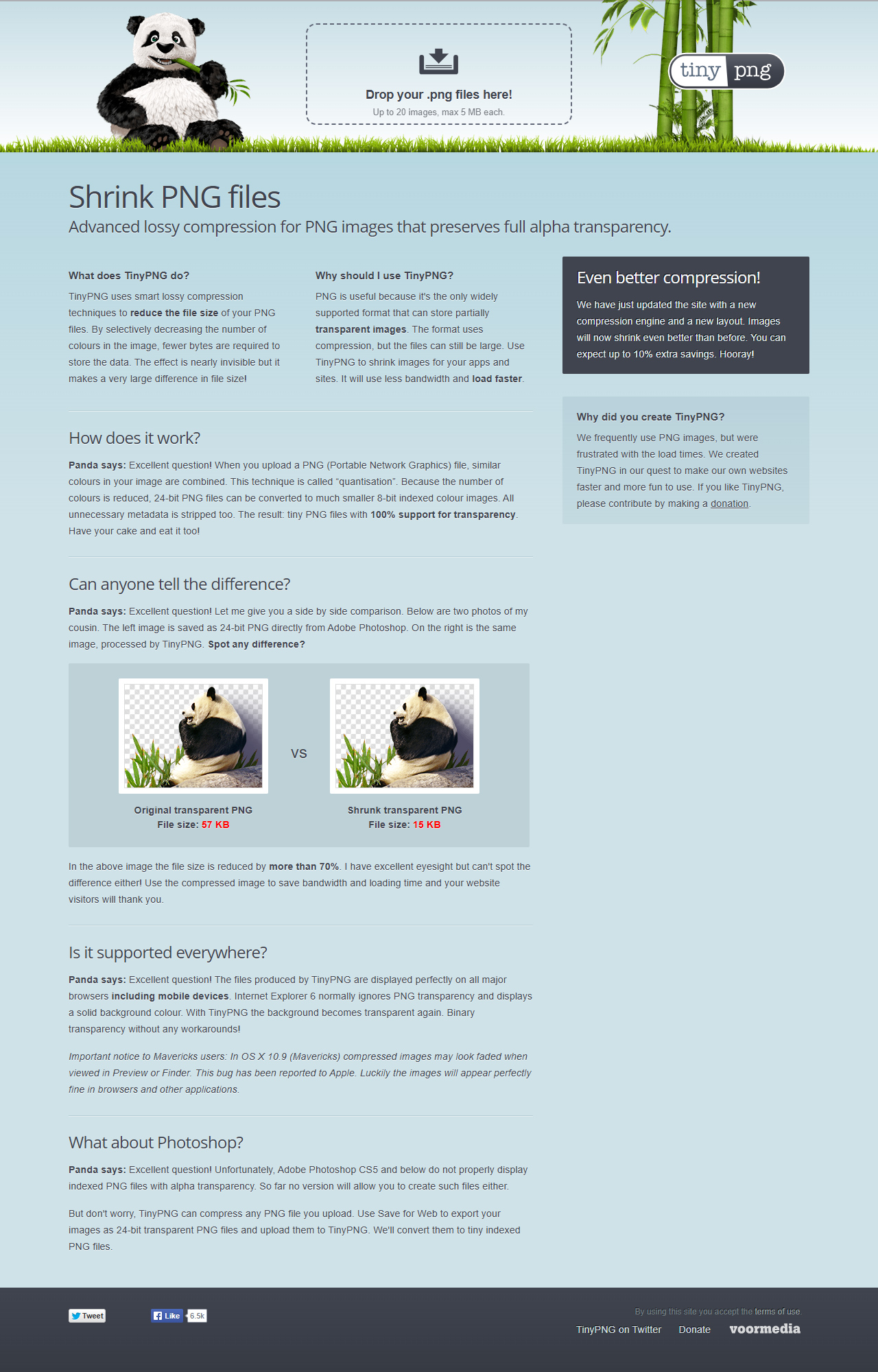 TinyPNG website in 2013