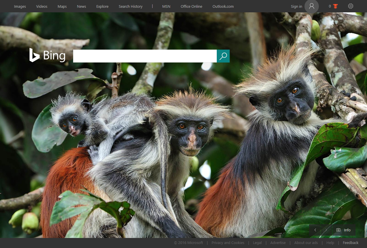 Bing website in 2016