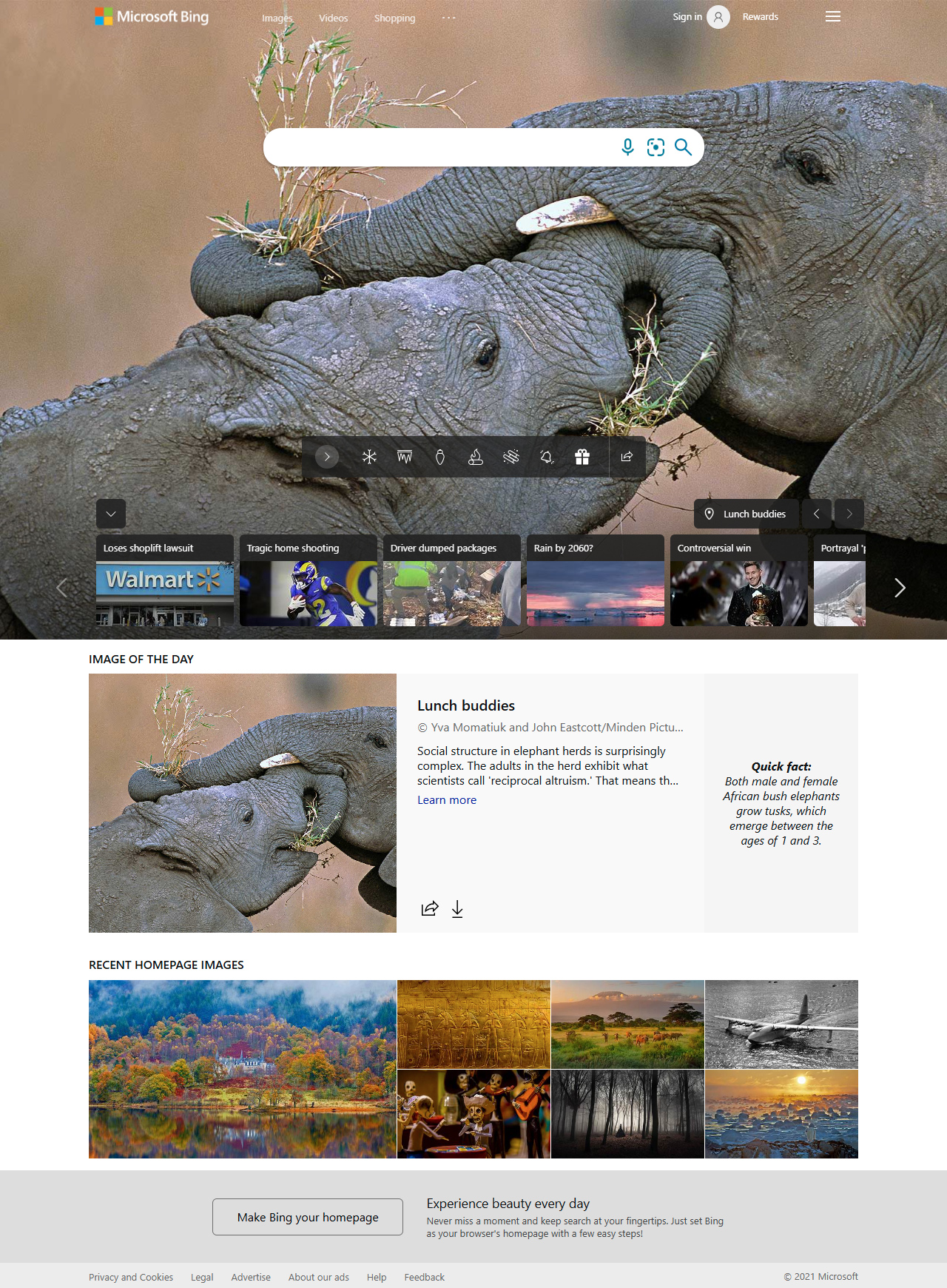 Bing website in 2021