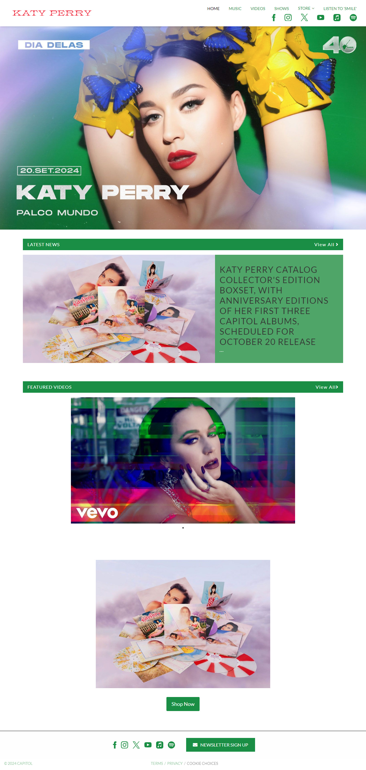 Katy Perry website in 2024