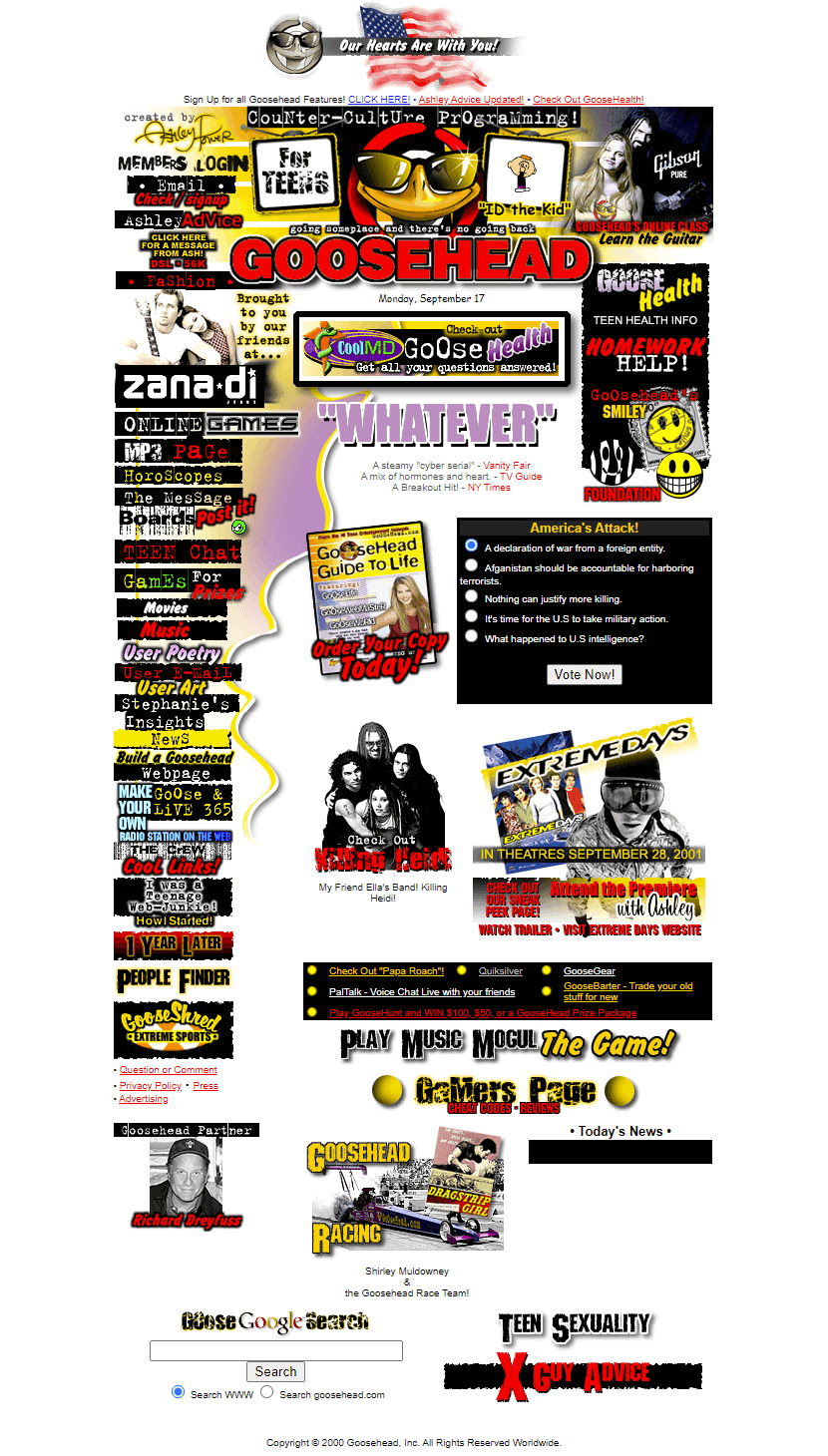 Goosehead website in 2001