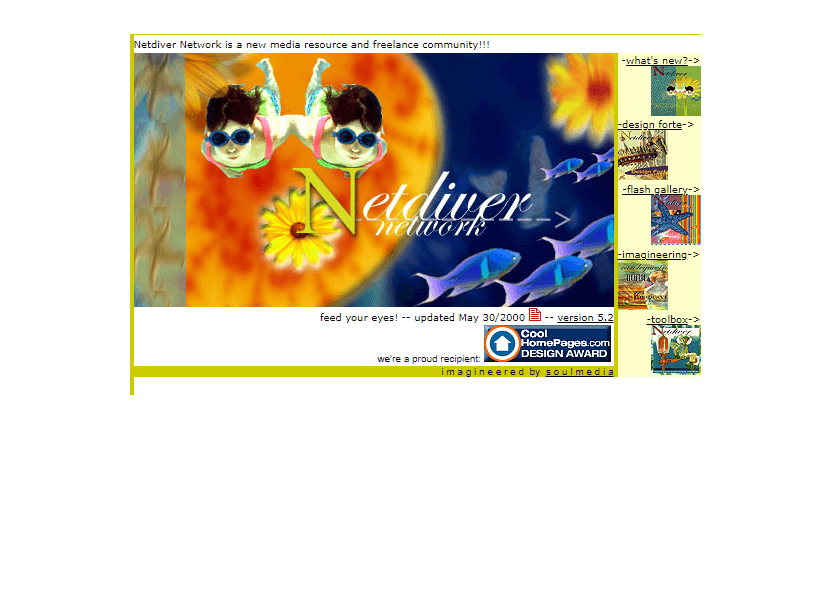 Netdiver Network website in 2000