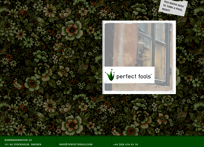 Perfect Fools flash website in 2002