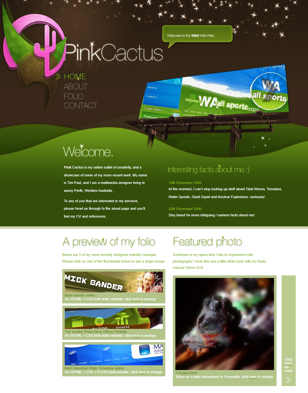 Pink Cactus website in 2007