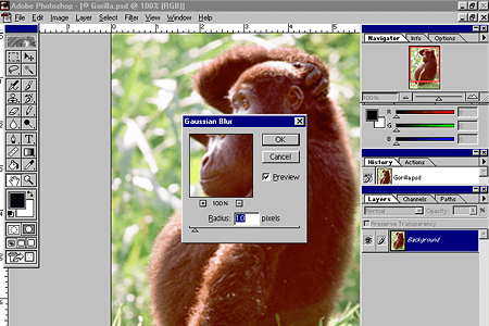 Adobe Photoshop 5.5 – Gaussian Blur