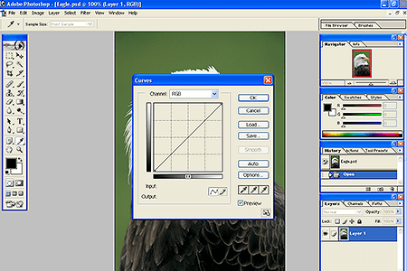 Adobe Photoshop 7.0