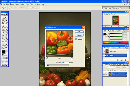 Adobe Photoshop 7.0