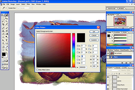 Adobe Photoshop 7.0